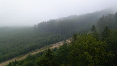 Vista-Aérea-Sobre-El-Bosque-De-Niebla-Y-Una-Carretera,-En-Un-Día-Misterioso-Y-Malhumorado,-En-Las-Montañas-Carphatian,-Ucrania---Aumento,-Disparo-De-Drones