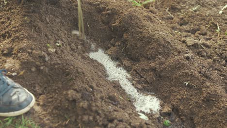 verter fertilizante orgánico natural hecho con plantas en el suelo.