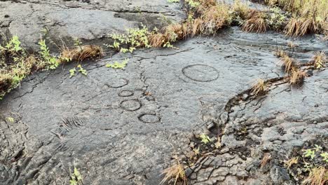 lava rock carvings in hawaii's volcanoes national park on the big island