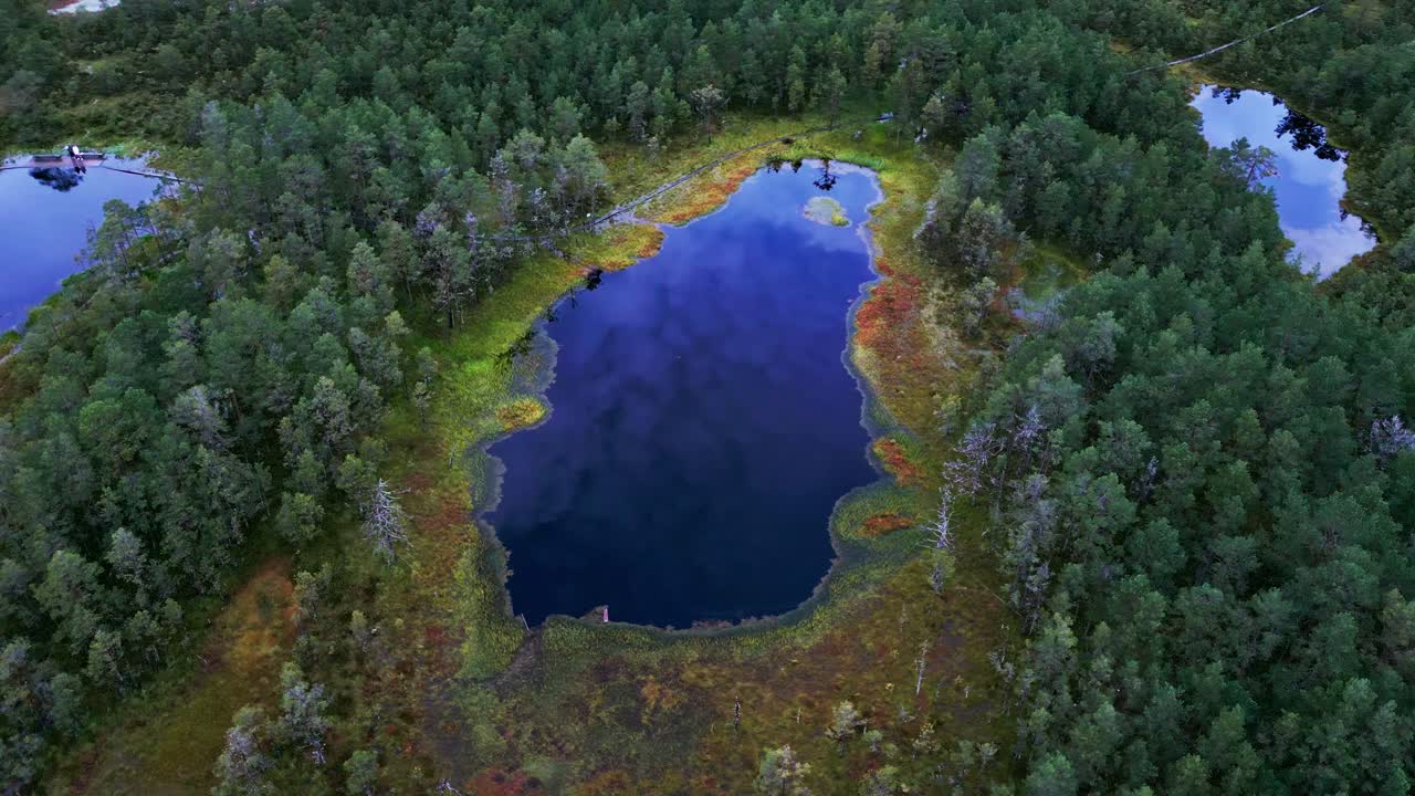 Viru Bog Estonia shines in autumn with golden moss blue reflective lakes and evergreen pines composing an iconic landscape inside Lahemaa National Park Nature Reserve