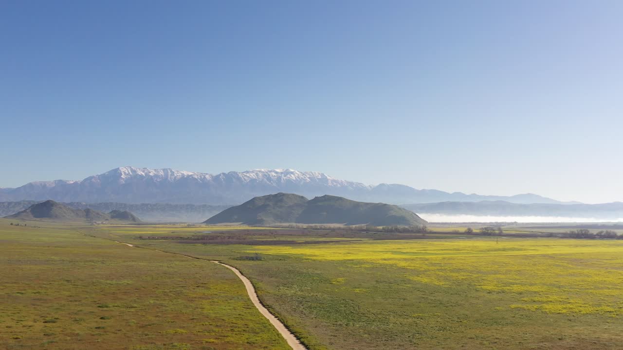 vuelo de avión no tripulado aterrizando en un campo de flores silvestres amarillas, con montañas cubiertas de nieve en el fondo