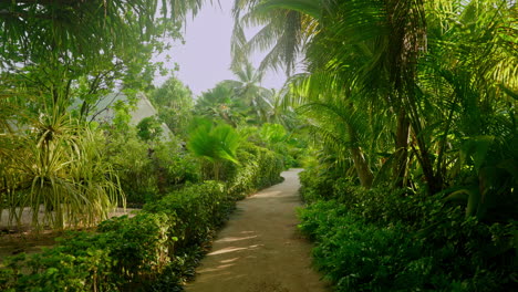 Spazieren-Sie-Durch-Tropische-Palmen-Und-Exotische-Grüne,-üppige-Vegetation