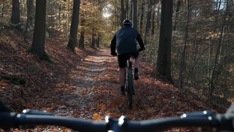 mountain biking through an autumn forest trail