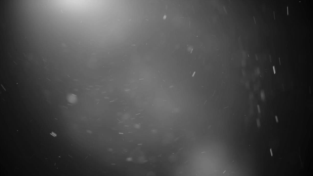 Balck - White Particle seamless background