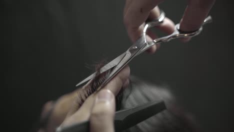 closeup of a hairdresser combing and cutting a mans hair with sciccors