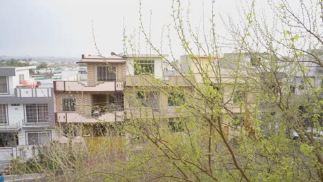 Houses-panning-view-over-the-trees-in-a-town