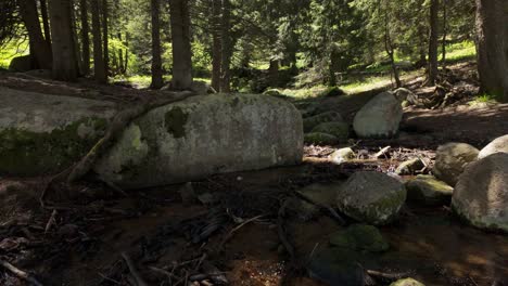 Beautiful-river-flowing-through-a-forest,-with-trees-casting-shadows-and-mossy-round-boulders