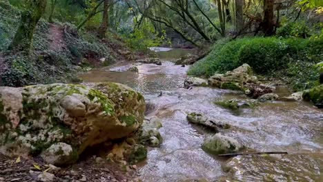 Río-En-El-Bosque-En-El-Pueblo-De-Kiprianades-En-El-Norte-De-Corfú