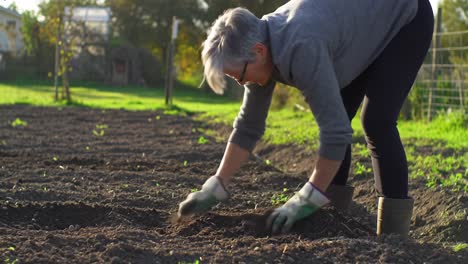 a dedicated gardener prepares the soil for planting, showcasing the love for nurturing nature and growing vegetables in a sunny backyard garden environment