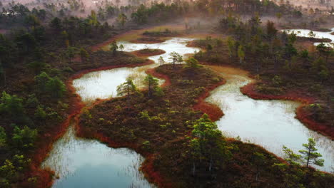 aerial shot of a misty and saturated swamp