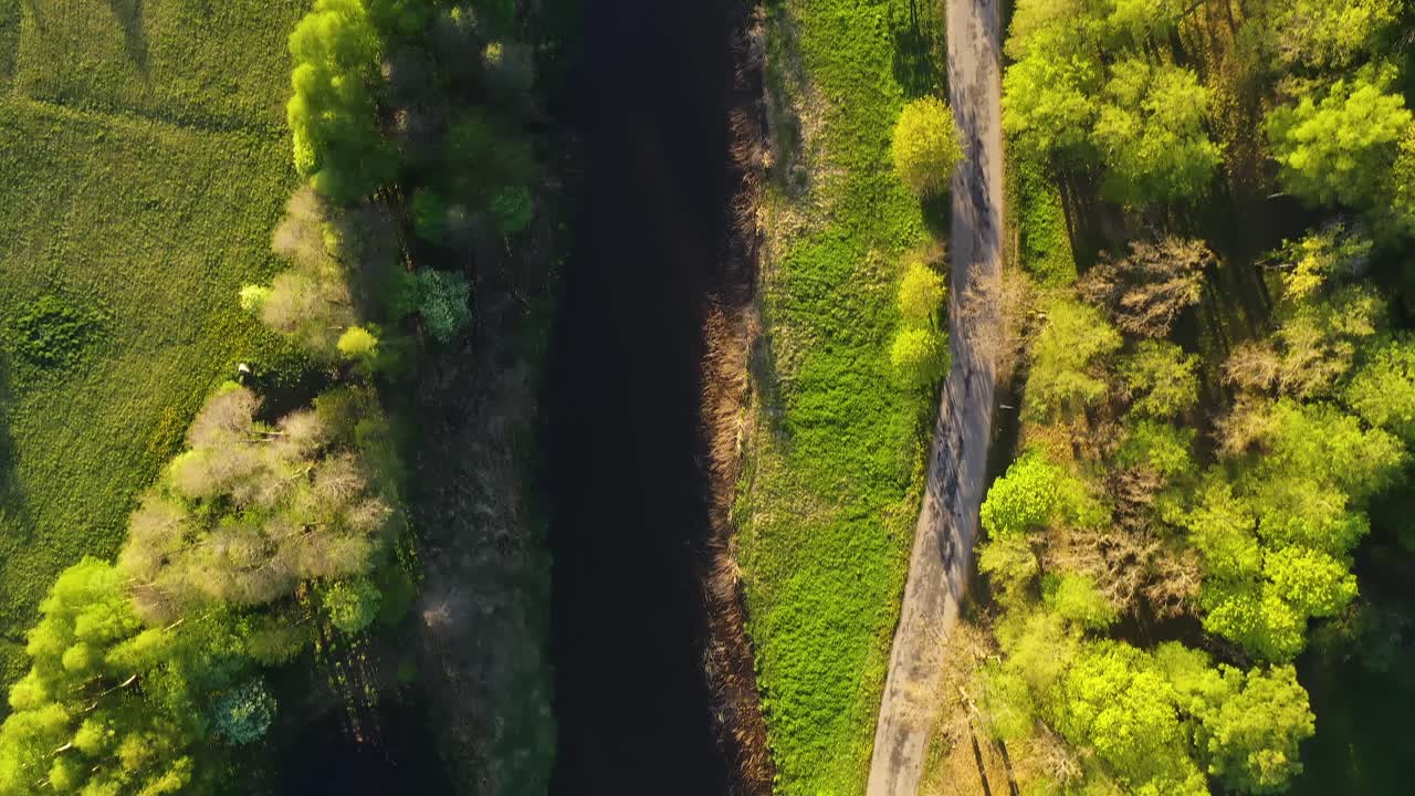 верхний снимок речного леса вдоль дороги, реки, сельскохозяйственных полей в сельской местности