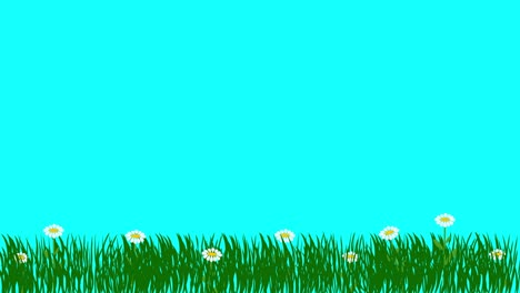 cartoon animation of plants and flowers, blue screen chroma key, flat design