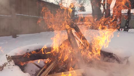 restos de cartón de las renovaciones de la casa que se queman en el pozo de fuego del patio trasero residencial