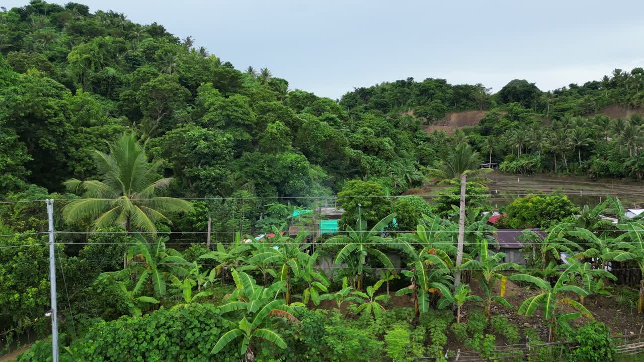 바토, 카탄두아네스에 있는 해변과 아우트리거 보트 줄을 향한 드론 뷰