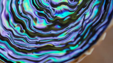 close-up of iridescent abalone shell texture