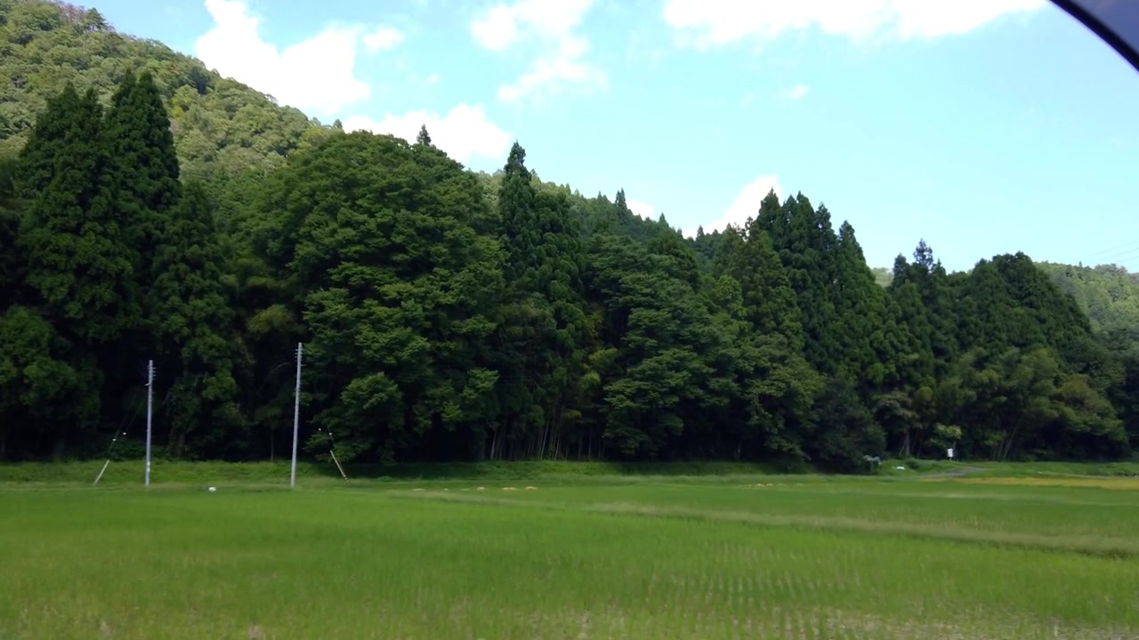 日本の田舎で、森と田園風景を通り過ぎる車窓からの運転視点。