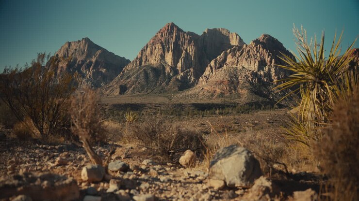 砂漠の山の風景