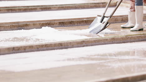 workers shoveling salt at rio maior salt farm in portugal