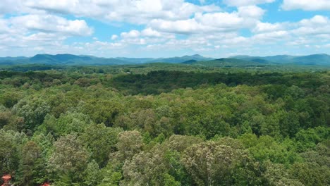 Drone-just-above-tree-line-with-mountains-in-background-and-wind-blowing