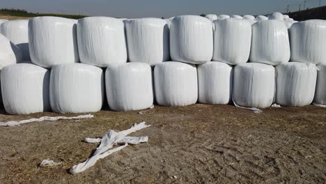 wrapped and stacked bales of hay