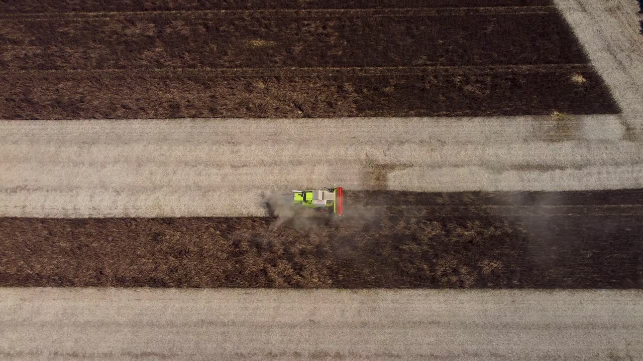 Horizontal shot of a combine harvester harvesting feed beans