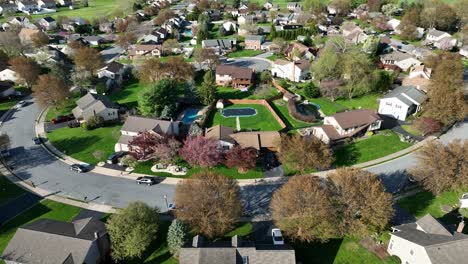 noble villas with private pool and pond in residential suburb of usa