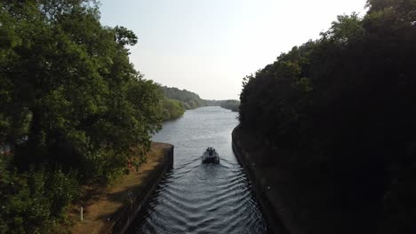 drone video follows a boar along the river trent in nottinghamshire