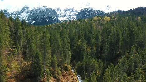 vuelo aéreo a través de árboles hacia un vívido e idílico cañón de cascada de río de montaña con agua azul fresca en los alpes austriacos bávaros, fluyendo por un hermoso lecho de río a lo largo de bosques y rocas