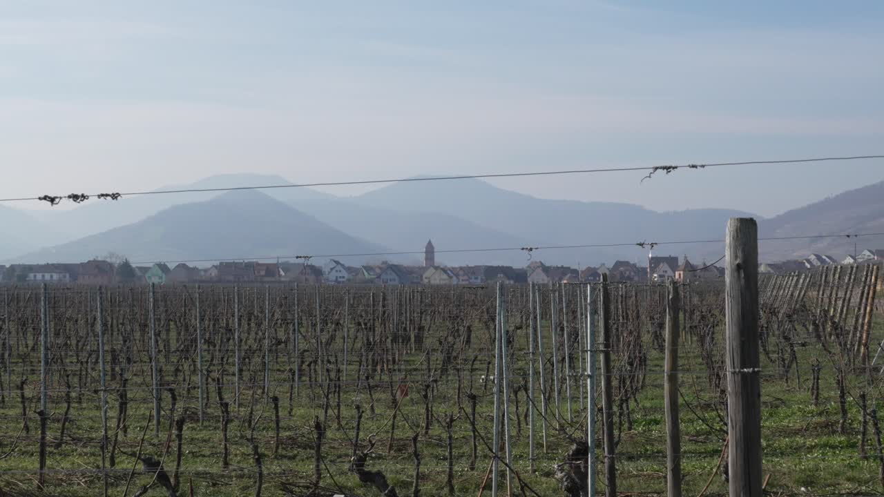 paisaje pintoresco de viñedos fotografiado con el pueblo de kaysersberg en el fondo
