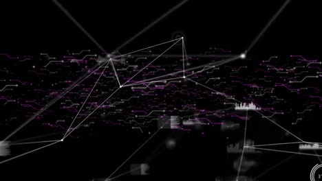 Animation-of-statistics-recording-with-networks-of-connections