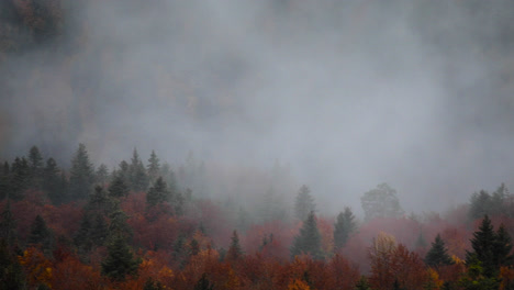Moody-scene-in-misty-mountain,-fog-covering-pine-tree-forest-during-autumn