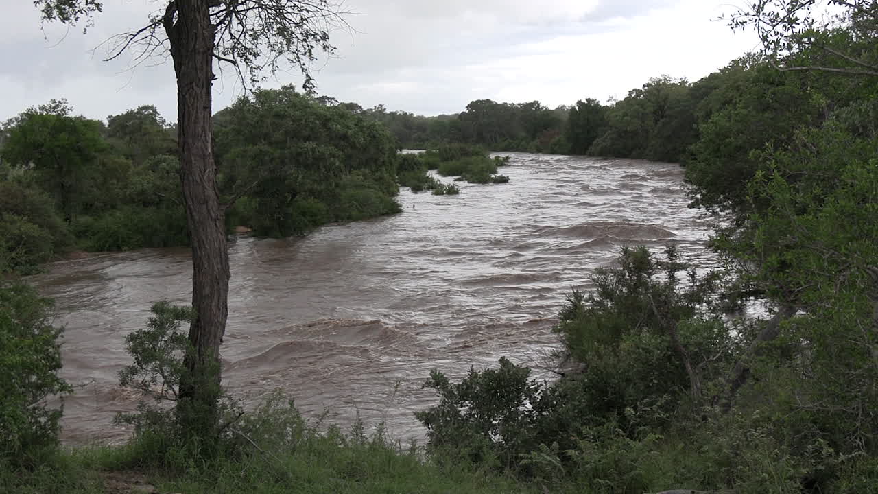 una devastadora inundación repentina en la región de lowveld, parque nacional kruger, sudáfrica