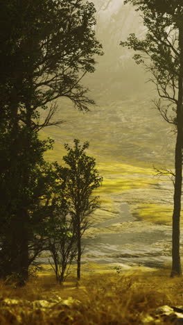 serene valley landscape with misty mountains and river