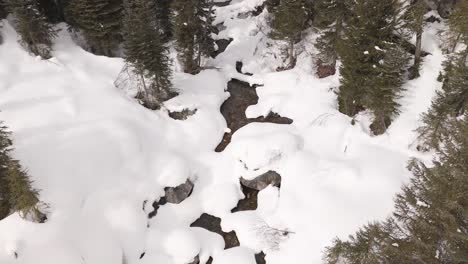 aerial view of a tranquil snow-covered forest stream in winter, british columbia, canada.