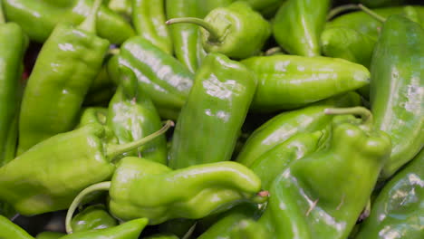 un montón de pimientos verdes italianos frescos