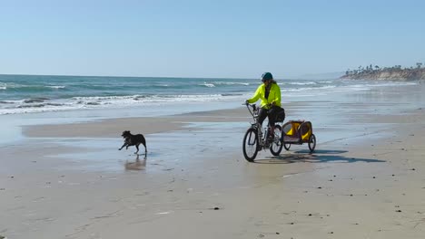 white female riding bike on the beach with a dog during a beautiful sunny day