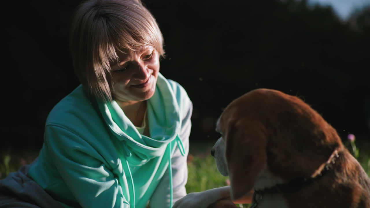 Graceful woman warmly shaking paw of loyal pet beagle surrounded by glowing sun flies under soft sunset light, creating heartwarming moment of connection and mutual trust on lush green meadow