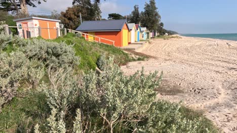 vibrant beach boxes along sandy shore in melbourne
