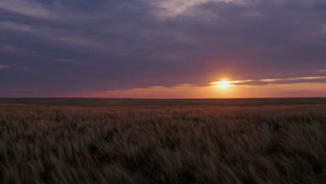 sunset over a vast grassy field