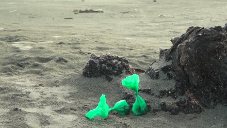 two green bags containing dog poop left on a beach