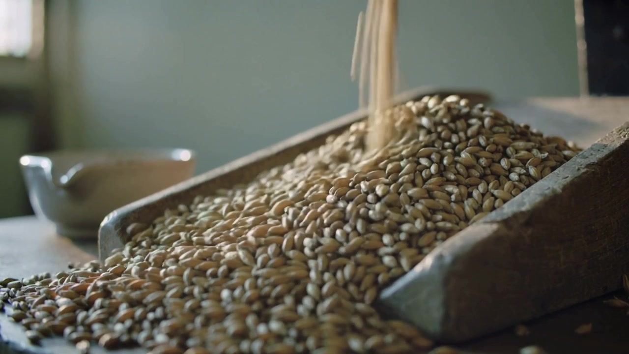 Pouring arm tipping stream of grains onto sloped tray at bench, ceramic bowl visible, forming mound