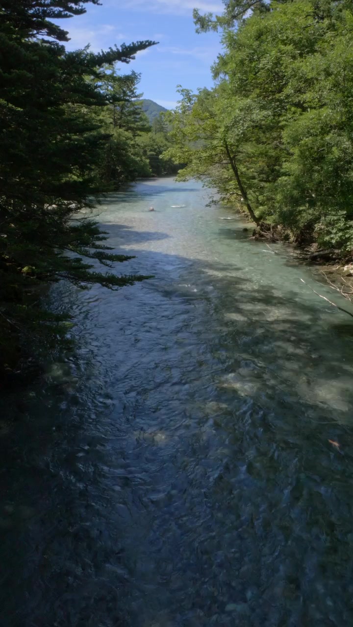 Fiume Azusa che scorre attraverso la foresta in estate a Kamikochi, Nagano, Giappone. - Ripresa verticale.
