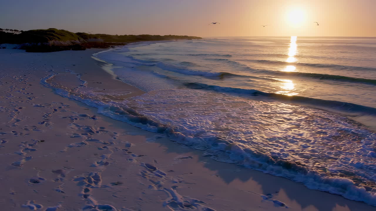 Sunrise or Sunset on a Tranquil Sandy Beach with Ocean Waves and Birds