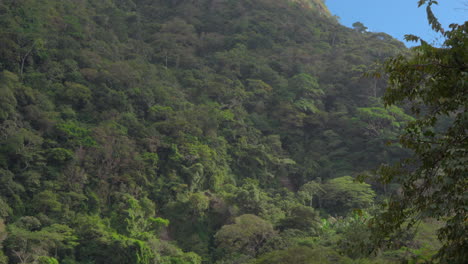 Aerial-view-of-a-lake-near-San-Carlos-amidst-lush-hills-and-rural-homes