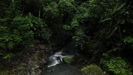 A-running-stream-with-mossy-rocks-and-jungle-surroundings-in-Bali,-Indonesia