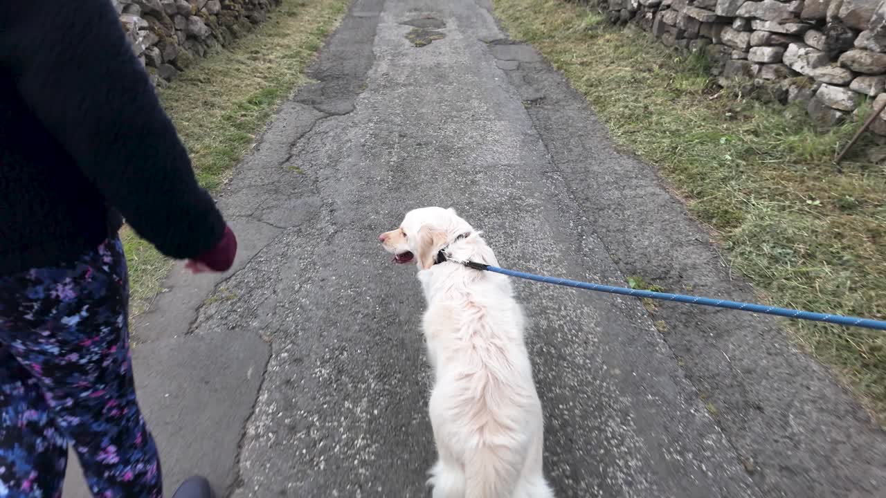 A dog being walked on a path