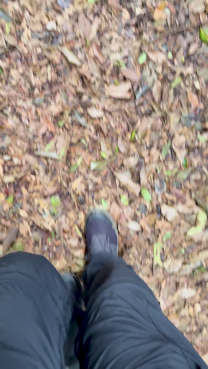 Person walks on leaf-covered rainforest ground, steady downward view, natural daylight, handheld camera movement