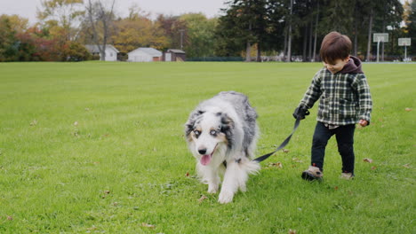 Kleines-Asiatisches-Kind,-Das-Mit-Einem-Großen-Schäferhund-Im-Park-Spaziert