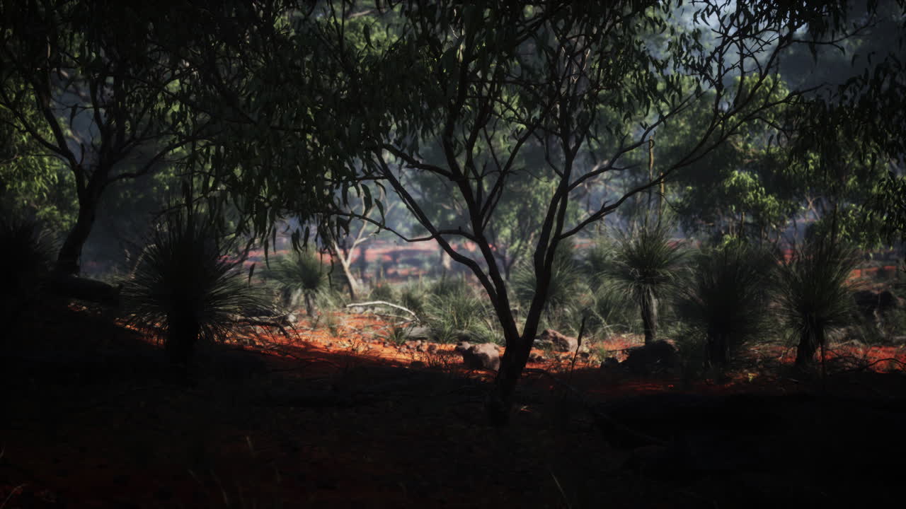 región de kimberley en australia occidental