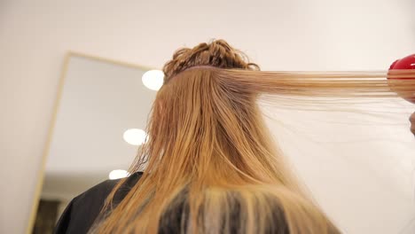 a woman is having her layered hair straightened by a hairdresser a woman is getting her hair straightened by a hairdresser high quality